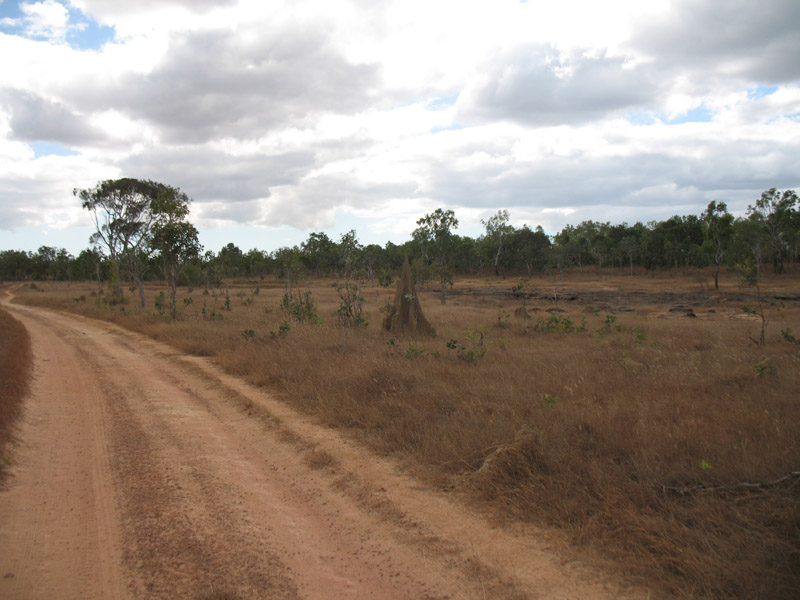 Lakefield National Park - Walkabout